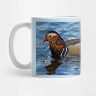 Mandarin Duck reflected in clear blue water Mug